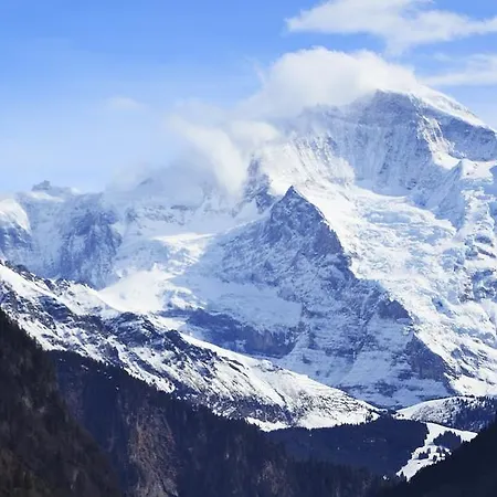 Hapimag 4* Интерлакен