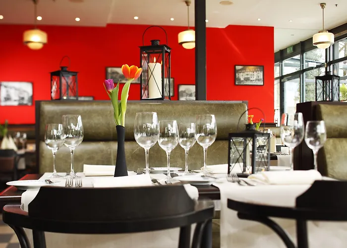 公寓式酒店 Hapimag 因特拉肯